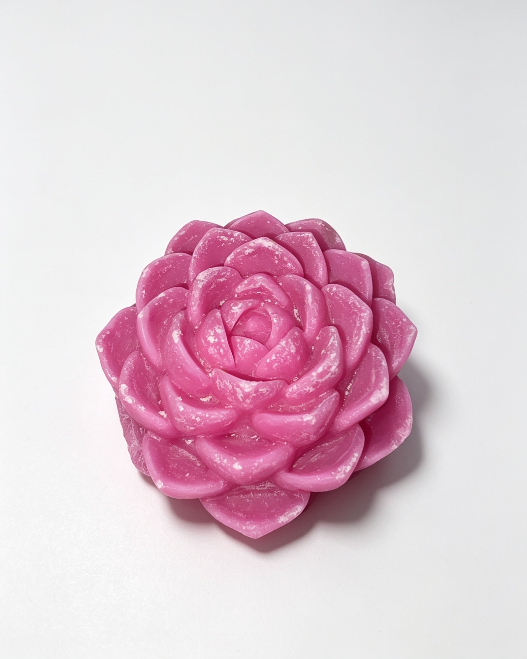 Triple-Scented Vanilla & Caramel Succulent Wax Melt