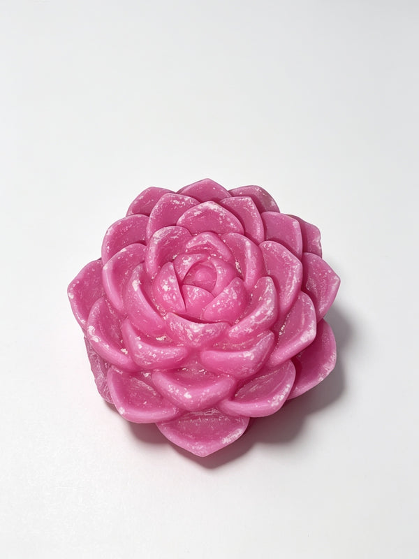 Triple-Scented Vanilla & Caramel Succulent Wax Melt